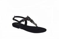 Destaques da loja CONEXAO NACIONAL